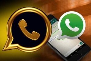 WhatsApp Gold vs. Standard WhatsApp: